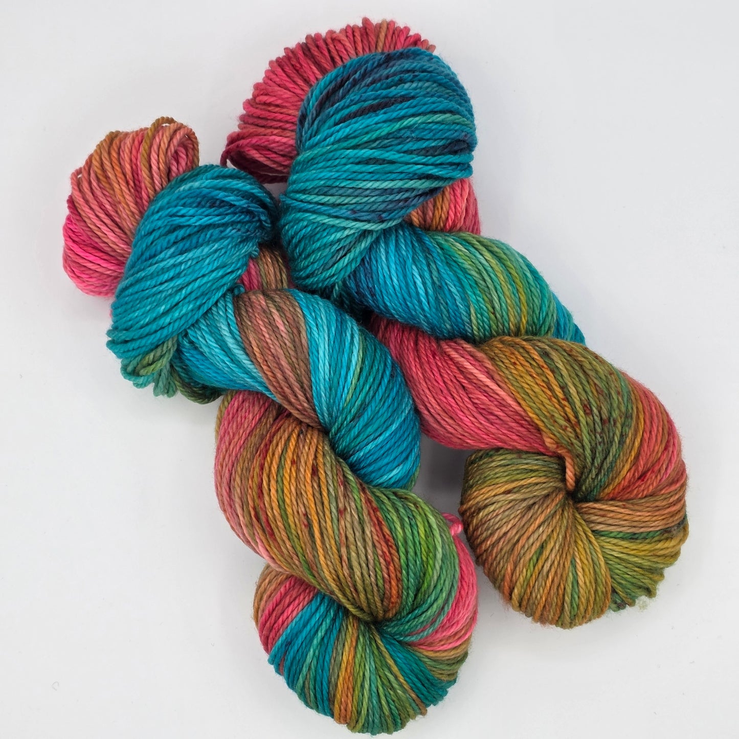 Paradise Punch- 100% Superwash Merino, Worsted