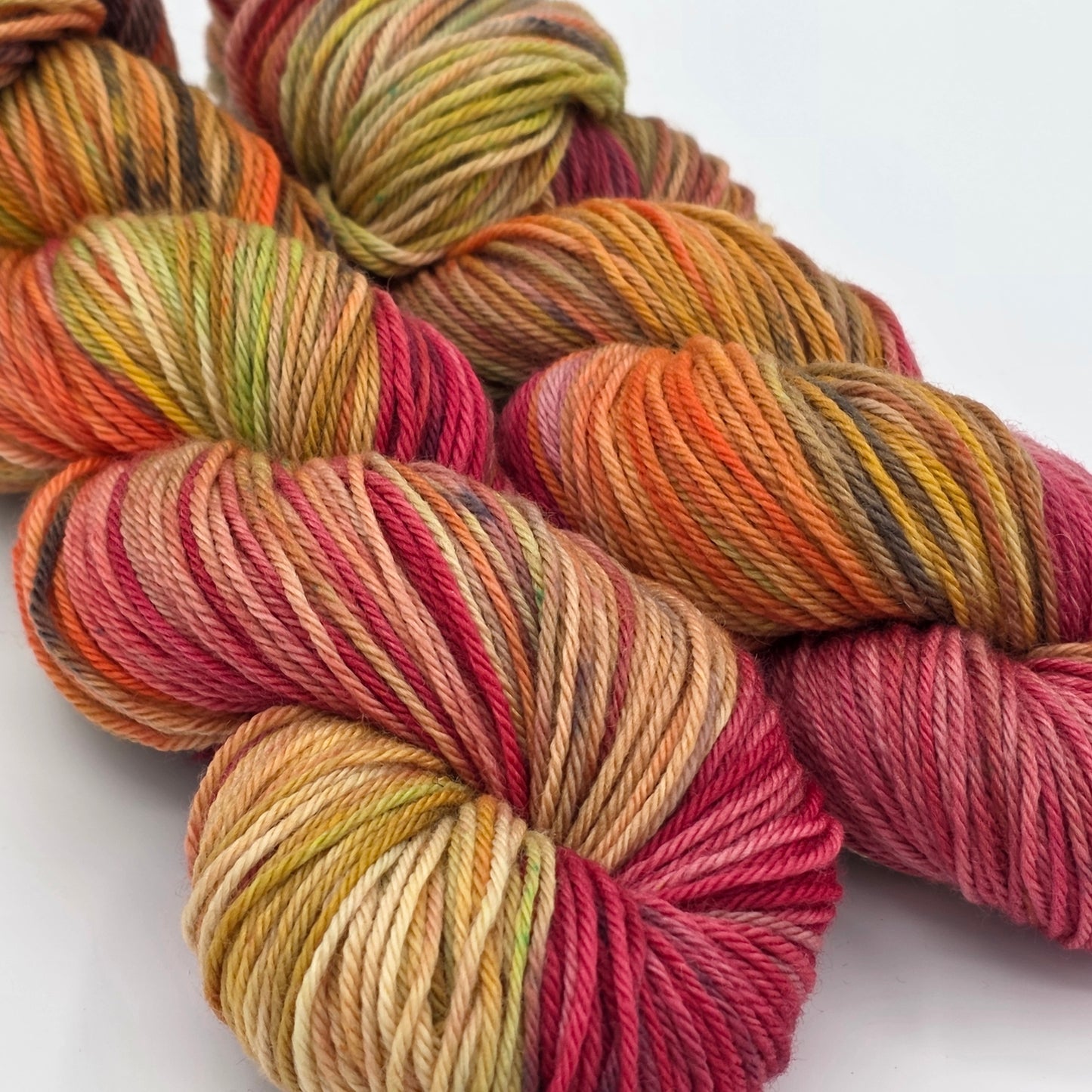 Autumn Orchard - 100% Superwash Merino, Worsted