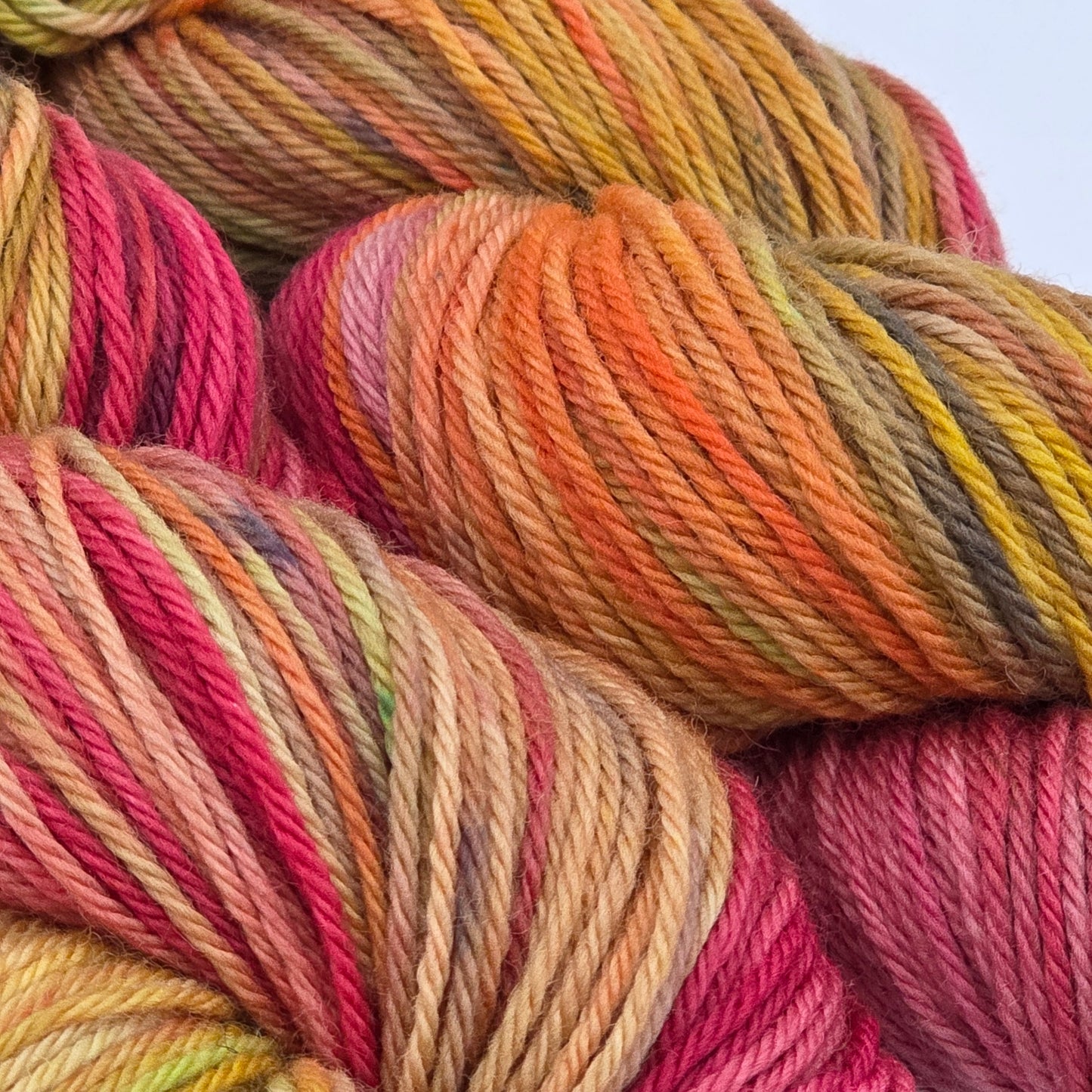 Autumn Orchard - 100% Superwash Merino, Worsted