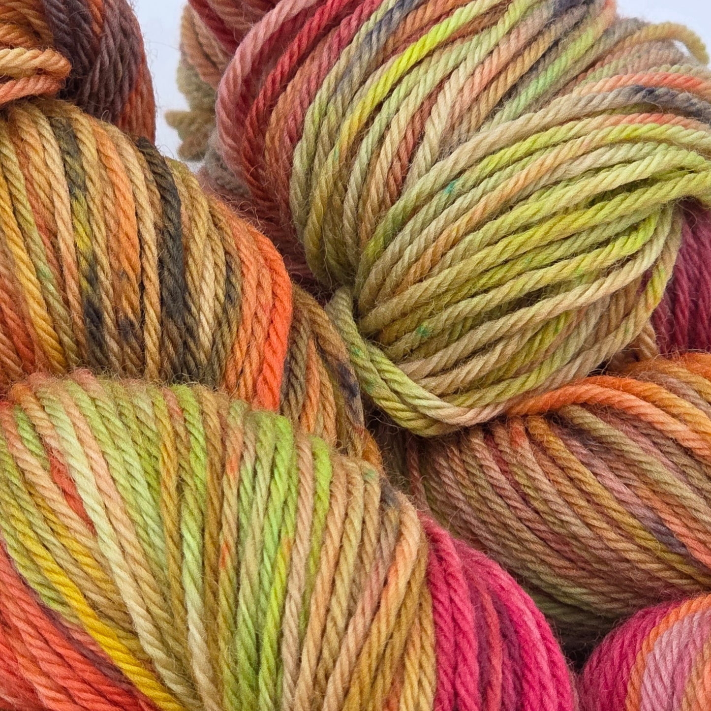 Autumn Orchard - 100% Superwash Merino, Worsted